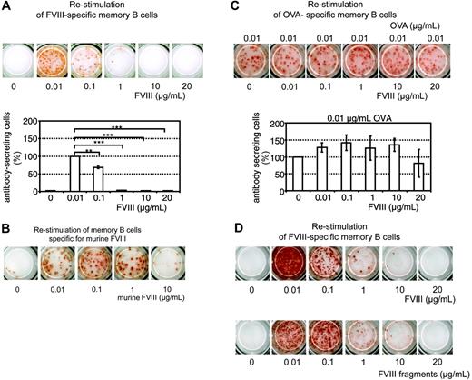 Figure 1. Dose-dependent inhibition of memory B-cell restimulation by FVIII. CD138– spleen cells were obtained from hemophilic mice immunized with human FVIII (A,D), murine FVIII (B), or OVA (C) as described in “Materials and methods.” Newly formed anti–human FVIII (A,D), anti–murine FVIII (B), or anti-OVA (C) ASCs were detected by ELISPOT analysis after culture of CD138– spleen cells in the presence of human or murine FVIII at the concentrations indicated. (C) CD138– spleen cells were stimulated with a fixed concentration of OVA and human FVIII at the concentration indicated. (D) CD138– spleen cells were cultured with either human FVIII or thrombin-cleaved human FVIII. ELISPOTs represent the results obtained in a typical experiment. The graphs represent mean values (n = 7) and standard errors of the mean. Results were normalized for comparing experiments done on different days by setting responses obtained with 0.01 μg/mL FVIII (A) or 0.01 μg/mL OVA (C) at 100%. Spleens from 5 mice were pooled for cell preparation in each experiment. **P < .01; ***P < .001.