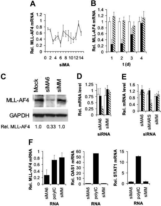 Figure 1. Activity and specificity of MLL-AF4 siRNAs. (A) SiRNA scan of the MLL-AF4 mRNA fusion site. MLL-AF4 mRNA levels normalized by GAPDH mRNA levels are shown. Target sites of the indicated siRNAs were moved by one single nucleotide from the AF4 part to the MLL part of the fusion site. Total RNA was isolated 24 hours after electroporation with 500 nM of siRNA and analyzed by real time RT-PCR. One of 2 experiments yielding similar results is shown. (B) Time course of MLL-AF4 depletion. Total RNA was isolated at the indicated time points after electroporation with 750 nM siRNA. Real time RT-PCR was performed as in panel A. □ indicates Mock; ▪, siMA6; ▧, siMM. (C) Depletion of MLL-AF4 protein upon siRNA transfection. Total cell lysates were isolated 48 hours after electroporation with 500 nM siRNA. MLL-AF4 was detected with an antibody targeting the C-terminus of AF4. GAPDH served as a loading control and for normalization. Normalized MLL-AF4 protein levels are indicated at the bottom. (D) Effects of the MLL-AF4 siRNA siMA6 and a mismatch control siMM on MLL-AF4, AF4, and MLL mRNA levels in SEM cells. Analysis was performed as in panel A. □ indicates MLL; ▪, AF4; ▧, MLL-AF4. (E) Effects of the MLL-AF4 siRNAs siMA6 and siMARS and a mismatch control siMM on MLL-AF4, AF4, and MLL mRNA levels in RS4;11 cells. Analysis was performed as in panel A. siMA6 is homologous to the MLL-AF4 variant expressed in SEM cells; siMARS targets the variant present in RS4;11 cells. □ indicates MLL; ▪, AF4; ▧, MLL-AF4. (F) MLL-AF4 siRNAs do not induce an interferon response. SEM cells were transfected with the indicated RNAs. PolyIC (7.5 μg/mL) served as a positive control for the induction of the interferon response genes OAS1 and STAT1. Analysis was performed as in panel A.