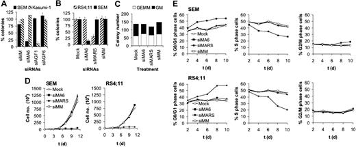 Figure 2. MLL-AF4 depletion inhibits colony formation and proliferation of t(4;11)-positive leukemic cells. (A) Specificity of MLL-AF4 and AML1/MTG8 siRNAs. SEM cells express MLL-AF4, whereas Kasumi-1 cells express AML1/MTG8. Colony numbers of siMA6-treated SEM cells are significantly lower than SEM controls (P < .001). (B) Inhibition of SEM and RS4;11 clonogenicity is dependent on perfect homology to the MLL-AF4 fusion site. Colony numbers of siMA6-treated SEM cells and siMARS-treated RS4;11 cells are significantly lower than the corresponding controls (P < .001). (C) MLL-AF4 siRNAs do not affect colony formation of primary human CD34+ hematopoietic cells. In all figure parts, colony formation is shown after electroporation with 750 nM siRNA. siMA6 indicates MLL-AF4 siRNA targeting the e9-e4 variant expressed in SEM; siMARS, MLL-AF4 siRNA targeting the e10-e4 variant expressed in RS4;11; siAGF1, AML1/MTG8 siRNA; siMM, siAGF6, mismatch control siRNAs. (D) Growth curves of siRNA-treated t(4;11) cell lines. Cells were electroporated every second day with 750 nM siRNA. Cell numbers were determined by MTT assays. (E) Effects of MLL-AF4 siRNAs on the cell-cycle distribution of SEM and RS4;11 cells. The graphs show the percentage of cells in the indicated cycle phase. Cell cycle distribution was determined by flow cytometry at the indicated days using cells from the time course experiments shown in panel D.
