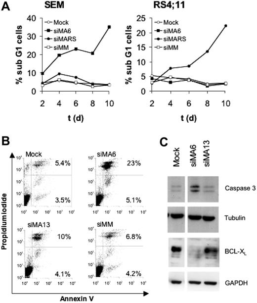Figure 3. MLL-AF4 depletion induces apoptosis in t(4;11) cells. (A) Effects of MLL-AF4 suppression on the fraction of sub-G1 cells. Cells obtained from the time courses shown in Figure 2D and E were analyzed for DNA content by flow cytometry. (B) Annexin V staining of SEM cells. Annexin V–positive SEM cells were quantified by flow cytometry 4 days after the second electroporation with 750 nM of the indicated siRNA. The percentages of annexin V and annexin V/propidium iodide–positive cells are given in the corresponding quadrants. (C) MLL-AF4 suppression triggers caspase-3 activation and diminishes BCL-XL protein levels. Immunoblots show BCL-XL and proteolytically activated caspase-3. Tubulin and GAPDH served as loading controls.