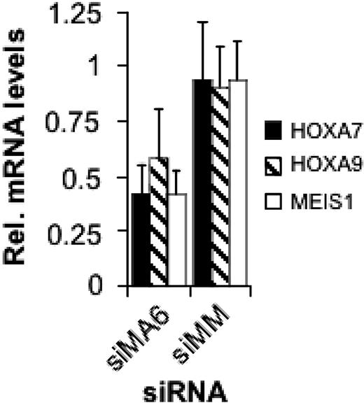 Figure 4. MLL-AF4 suppression inhibits HOXA7, HOXA9, and MEIS1 gene expression. Total RNA was isolated 48 hours after the second electroporation with 500 nM of the indicated siRNA and analyzed by real-time RT-PCR.