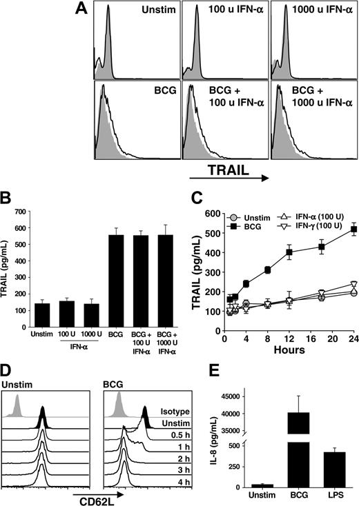 Figure 1. Neutrophils stimulated with BCG, but not IFN, release TRAIL /Apo-2L. (A-B) Human neutrophils were isolated from blood of healthy donors and placed into culture (3 × 106/mL) with BCG (1 CFU/cell), IFN-α (100 or 1000 U/mL), or both for 4 hours. Cells were then examined for surface TRAIL/Apo-2L expression by flow cytometry (A) or the culture supernatant was assayed for TRAIL/Apo-2L levels by ELISA (B). Filled histograms represent staining with isotype mAb; unfilled histograms, staining with anti-TRAIL mAb. (C) Neutrophils (3 × 106/mL) were stimulated in vitro with BCG (1 CFU/cell), IFN-α (100 U/mL), or IFN-γ (100 U/mL), and TRAIL/Apo-2L levels were measured in the culture supernatant over a 24-hour period. (D) Expression of CD62L on unstimulated and BCG-stimulated neutrophils as measured by flow cytometry. (E) IL-8 production by unstimulated, BCG-simulated (1 CFU/cell), or LPS-stimulated (100 ng/mL) neutrophils (3 × 106/mL) was measured by ELISA after 24 hours. Results in panels A, C, and D are representative of at least 3 independent experiments, whereas the results in B and E are averaged from 3 separate experiments.