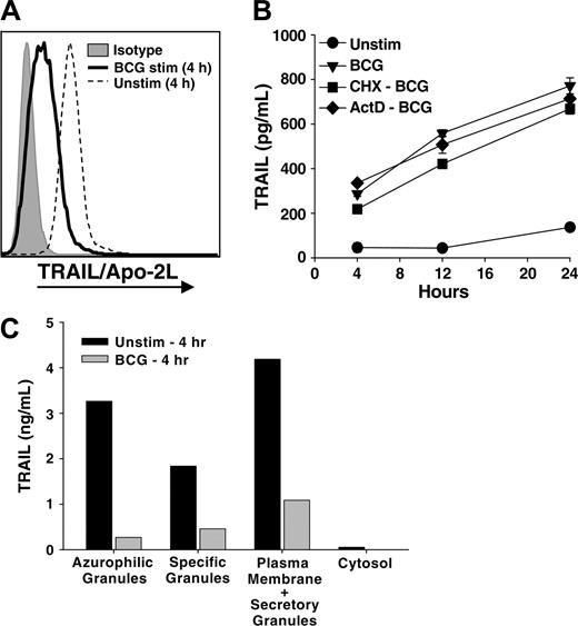 Figure 2. Subcellular distribution of TRAIL /Apo-2L in neutrophils. (A) Intracellular neutrophil TRAIL /Apo-2L levels decrease after BCG stimulation. Neutrophils (106/mL) were stimulated in vitro with BCG (1 CFU/cell) for 4 hours, then intracellular TRAIL/Apo-2L levels were determined as described in “Materials and methods.” (B) Inhibition of protein and RNA synthesis does not reduce TRAIL/Apo-2L release from BCG-stimulated neutrophils. Neutrophils (3 × 106/mL) were treated with cycloheximide (10 μg/mL; CHX-BCG) or actinomycin-D (1 μg/mL; ActD-BCG) for 1 hour before stimulation with BCG (1 CFU/cell). TRAIL/Apo-2L levels were measured in the culture supernatant at 4, 12, and 24 hours after adding BCG. (C) Neutrophils (200 × 106) were isolated from peripheral blood and equally aliquoted into 2 groups: one placed into culture for 4 hours without any stimulus, and the other stimulated with BCG for 4 hours. The cells were then fractionated by nitrogen cavitation and density gradient centrifugation as described in “Materials and methods.” The amount of TRAIL/Apo-2L protein in each fraction was quantitated by ELISA. Similar results were obtained in two independent experiments.