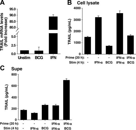 Figure 4. IFN-α increases transcription of the TRAIL gene in neutrophils, and IFN-α-primed neutrophils contain and release elevated amounts of TRAIL/Apo-2L after BCG stimulation. (A) Human neutrophils were isolated from blood of healthy donors and placed into culture (107/mL) with BCG (1 CFU/cell), IFN-α (1000 U/mL), or left unstimulated for 20 hours. Total RNA was then isolated and TRAIL/Apo-2L mRNA levels were quantitated by real-time PCR. (B-C) Neutrophils (3 × 106/mL) were incubated with or without IFN-α (1000 U/mL) for 20 hours, and then stimulated with either IFN-α (1000 U/mL) or BCG (1 CFU/cell) for an additional 4 hours. TRAIL/Apo-2L levels were measured in the neutrophil-cell lysate (B) and culture supernatant (C) by ELISA. All groups are averages of triplicates ± standard deviation.