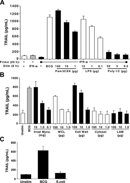 Figure 5. Specific agonists to TLR2 or TLR4 and purified mycobacterial-cell wall stimulated TRAIL/Apo-2L release from neutrophils. (A) Human neutrophils were isolated from blood of healthy donors and placed into culture (3 × 106/mL) with or without IFN-α (1000 U/mL) for 20 hours, and then stimulated with either BCG (1 CFU/cell) or the TLR agonists Pam3CSK, poly I:C, or LPS, at the indicated concentrations, for an additional 8 hours. TRAIL/Apo-2L levels were then measured in the culture supernatant by ELISA. (B) Human neutrophils placed into culture (3 × 106/mL) with BCG (1 CFU/cell), irradiated M tuberculosis whole cells, M tuberculosis whole-cell lysate (WCL), M tuberculosis cell wall (27 000g) fraction, M tuberculosis cytosol fraction, and LAM of M tuberculosis, at the indicated concentrations, for 24 hours. The culture supernatant was assayed for TRAIL/Apo-2L levels by ELISA. ELISA results in panels A-B are averaged from 3 different donors. (C) Neutrophils (3 × 106/mL) were stimulated in vitro with BCG (1 CFU/cell) or E coli (1 CFU/cell), and TRAIL/Apo-2L levels were measured in the culture supernatant over a 24-hour period. Results are averaged from 3 different donors.