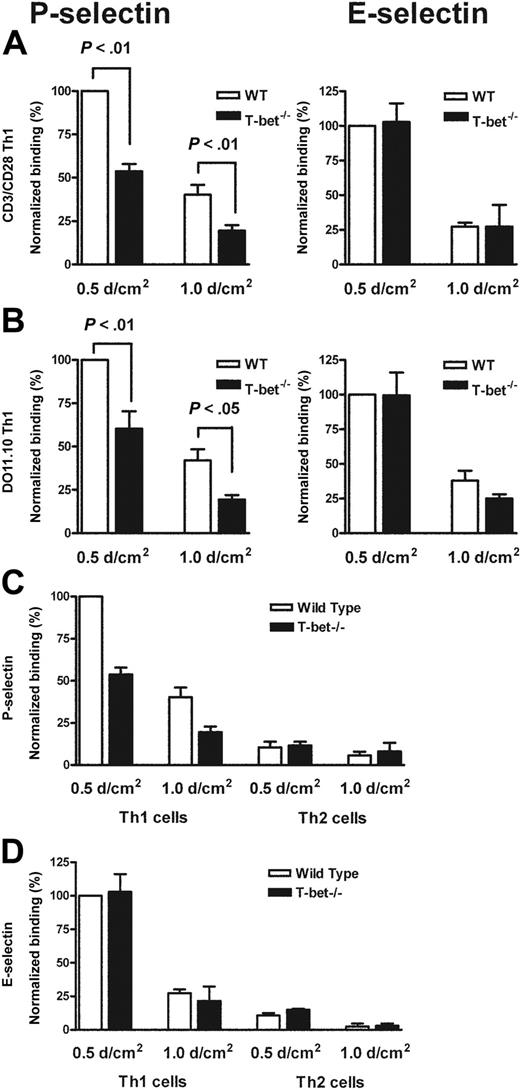 Figure 2. Mechanistic analysis of the selectin binding properties of WT, T-bet–/–, DO11.10, and DO11.10 × T-bet–/– primary CD4+ T cells under conditions of shear flow. (A-B) Interaction of primary CD4+ T cells of different genotypes with immobilized P-selectin (left columns) and E-selectin (right columns) under conditions of laminar shear stress as indicated. (A) Wild-type (WT, □) and T-bet–/– (▪) CD4+ Th1 cells activated by polyclonal stimulation with CD3 and CD28 antibodies. (B) CD4+ T cells generated from DO11.10 and DO11.10 × T-bet–/– TCR-Tg animals and activated in an antigen-specific manner. (C-D) Interaction of WT (□) and T-bet–/– (▪) Th1 and Th2 cells, activated with plate-bound CD3 and CD28 antibodies, with (C) immobilized P-selectin and (D) E-selectin under conditions of laminar shear stress as indicated. All data are expressed as mean ± SEM.
