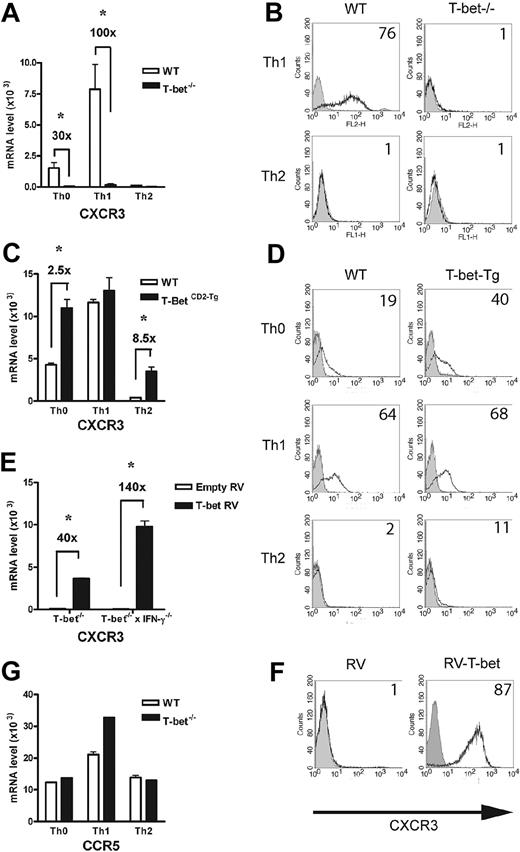 Figure 5. Analysis of chemokine receptor expression in the context of altered T-bet levels in primary CD4+ T cells. Real-time PCR analysis (A,C) and flow cytometric (B,D) surface staining of mRNA levels of CXCR3 in T cells activated under different polarizing conditions (mean ± SEM). (A-B) WT and T-bet–/– CD4+ T cells. (C-D) WT and T-bet CD2-Tg CD4+ T cells. (E) Real-time PCR analysis of CXCR3 expression in primary T-bet–/– and T-bet–/– × IFN-γ–/– CD4+ T cells retrovirally transduced with empty retrovirus (RV) or T-bet RV (mean ± SEM). (F) Flow cytometric surface staining of CXCR3 in retrovirally transduced T cells. (G) mRNA levels of CCR5 in WT and T-bet–/– T cells. All real-time PCR results are normalized to β-actin and are expressed as mean ± SEM (*P < .01). Shaded areas represent isotype staining.