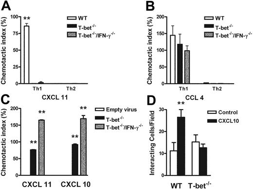Figure 6. Responses of primary CD4+ T cells to chemokine ligands in the context of altered T-bet levels. (A-C) Transmigration of CD4+ T cells in response to recombinant chemokine in the lower chamber of a transwell. (A-B) Chemotaxis of WT, T-bet–/–, and T-bet–/– × IFN-γ–/– T cells to recombinant chemokines. (A) Chemotactic response to CXCL11 (I-TAC, 100 nM). □ indicates WT; ▪, T-bet –/–; ▦, T-bet–/–/IFN-γ–/–.(B) Chemotactic response to CCL4 (MIP-1β, 10 nM). □ indicates WT; ▪, T-bet–/–; ▦, T-bet–/–/IFN-γ–/–. (C) Chemotaxis of retrovirally transduced T-bet (or empty vector control) into T-bet–/– and T-bet–/– × IFN-γ–/– T cells to CXCR3 ligands, CXCL11 (100 nM), and CXCL10 (IP-10, 100 nM). □ indicates empty virus; ▪, T-bet–/–; ▦, T-bet–/–/IFN-γ–/–. (D) Attachment of WT and T-bet–/– T cells to unstimulated endothelial cells under shear flow in the absence or presence of CXCL10 (40 ng/mL) (mean ± SEM). □ indicates control; ▪, CXCL10. **P < .05.