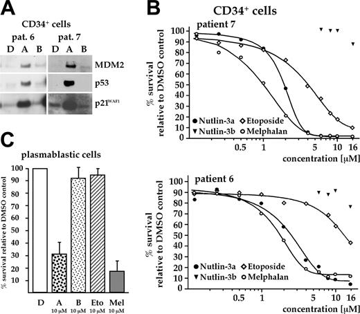 Figure 5. Effect of nutlin-3a on cells of the hematopoietic system. (A) Overnight exposure of CD34+ hematopoietic stem cells to 10 μM nutlin-3a activated p53, as assessed by Western analysis. (B) CD34+ cells were cocultured with BMSCs and cell death assessed after a 3-day exposure to increasing concentrations of nutlins and 2 therapeutically relevant cytostatics. A strong decrease in viability in response to nutlin-3a was recorded (EC50 value about 2.4 μM; range, 1.9-2.9 μM; cells from 3 different patients tested). The genotoxic cytostatic melphalan was equally toxic in this assay (range of EC50 values, 1.1-1.8 μM). (C) Viability of in vitro differentiated plasmablastic cells, cocultured with BMSCs, after a 3-day exposure to either nutlins, melphalan, or etoposide (all at 10 μM). Treatment with nutlin-3a or with melphalan strongly decreased the number of viable cells. Height of the bars represents the median survival relative to DMSO control from experiments with cells from 3 different donors.