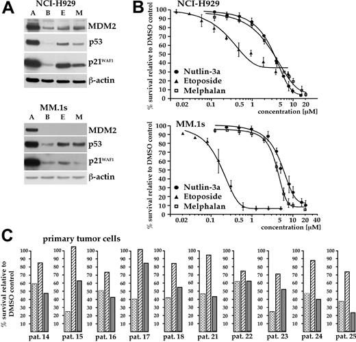 Figure 6. Antitumor activities of nutlin-3a and genotoxic drugs in MM cells. (A) Western analysis for p53, MDM2, and p21WAF1 in p53 wild-type MM cells after overnight exposure to either 10 μM nutlin-3a (A), nutlin-3b (B), etoposide (E), or melphalan (M). Etoposide and melphalan activated p53 signaling in NCI-H929, but did so less robustly than the MDM2 inhibitor. A modest increase of p53 levels was seen in MM.1s treated with either genotoxic drug. (B) Dose-response curves revealed EC50 values of 0.32 μM (etoposide) and 3.5 μM (nutlin-3a and melphalan) for NCI-H929 and 0.2 μM (etoposide), 2.5 μM (melphalan), and 5.2 μM (nutlin-3a) for MM.1s, respectively. (C) Effects of either nutlin-3a ((), etoposide (▨), or melphalan (▦), 10 μM, on the 5-day survival of primary myeloma tumor cells in coculture with BMSCs relative to DMSO controls (= 100%). The apoptotic activity of nutlin-3a was similar to melphalan, whereas etoposide had little effect on primary tumor cells.