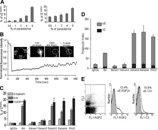 Figure 1. Anti-RSP2 antibodies induce phagocytosis of RSP2-tagged UEs and complement activation. (A) Flow cytometry analysis showing that the percentage of RSP2-tagged erythrocytes labeled with mAb B4 depends on parasite load. Dilutions of 0.5% to 8% trophozoites were used and, after reinvasion, the percentages of RSP2-tagged UEs and RSP2-tagged IEs (±SD) were determined by staining with ethidium bromide. (B) Mobility of RSP2 on the surface of a UE. The close-up shows the region of interest (ROI 1) before, just after, and 1420 seconds after photobleaching. The graph shows the kinetics of fluorescence recovery (FRAP) (ROI 1) after correction for its natural decrease over time (ROI 2 and ROI 3). (C) Flow cytometry revealing RSP2-tagged erythrocytes in D10ΔRAP1, D10, and FCR3CSA culture, using the mAb B4, the sera from anemic patients 2, 3, and 4 and the pool of sera from immune asymptomatic African donors (PIAG). An IgG2a mAb and serum 1 were used as negative controls. (D) Comparison of the opsonization capacity of B4, the sera used in panel A and the negative controls. The phagocytosis index is the number of IEs and UEs undergoing phagocytosis per 100 monocytes counted (± SD). (E) Cultured FCR3CD36 labeled with ethidium bromide (FL2) and with mAb B4 (FL1 RSP2) or with a human anti-C3 antibody by incubation with mAb B4 and C3+ human serum (FL1 C3). IgG2a was used as an isotypic control (gray) for RSP2, and C3 immunostaining was used to assess the specific association of C3 with cytophilic antibodies such as mAb B4 (IgG2a).