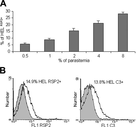 Figure 3. Quantification of RSP2 erythroid precursor and binding of complement C3. (A) Flow cytometry analysis showing that the percentage of HEL 92.1.7 RSP2+ cells depends on parasite load. Results of 3 representative experiments are shown. Dilutions of 0.5% to 8% trophozoites were used, and the mean percentage (± SD) of erythroblasts cocultured with FCR3CSA that were RSP2+ was determined after reinvasion. (B) Labeling of RSP2+ HEL erythroblasts with mAb B4 (FL1 RSP2) or with a human anti-C3 antibody by incubation with mAb B4 and C3+ human serum (FL1 C3). IgG2a was used as an isotypic control (gray) for RSP2, and C3 immunostaining was used to assess the specificity of C3 binding to B4 (IgG2a).