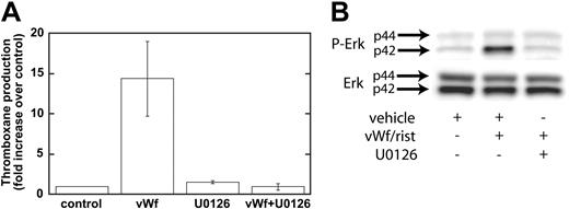 Figure 4. Inhibition of MEK decreases Erk phosphorylation and VWF-mediated thromboxane production. Platelets were treated with the MEK inhibitor U0126 (10 μM) or its vehicle (control) before stimulation with VWF/ristocetin (8 and 300 μg/mL, respectively). Platelets were then processed for measurement of thromboxane production (A) or detection of phospho-Erk (B), as described in “Materials and methods.”