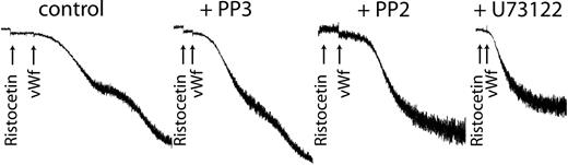 Figure 6. Inhibition of Src kinases or phospholipase C blocks VWF-mediated platelet aggregation. Platelets were treated with the Src kinase inhibitor PP2 (10 μM), its inactive analog PP3 (10 μM), or the PLC inhibitor U73122 (10 μM) before stimulation with ristocetin (300 μg/mL) and VWF (8 μg/mL). Platelet aggregation was measured as described in “Materials and methods.”