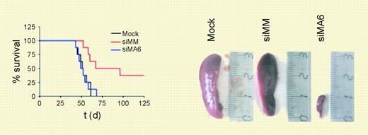 MLL-AF4 suppression diminishes leukemic engraftment. See the complete figure in the article beginning on page 3559.