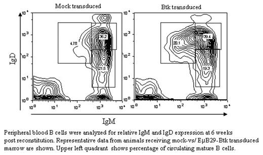 Peripheral blood B cells were analyzed for relative IgM and IgD expression at 6 weeks post reconstitution. Representative data from animals receiving mock-vs/ EμB29-Btk transduced marrow are shown. Upper left quadrant shows percentage of circulating mature B cells.