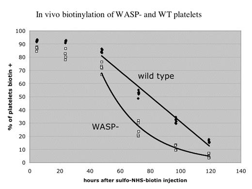 In vivo biotinylation of WASP-and WT platelets