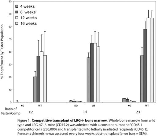 Figure 1. Competitive transplant of LRG-/- bone marrow. Whole bone marrow from wild type and LRG-47 -/- mice (CD45.2) admixed with a constant number of CD45.1 competitor cells (250,000) and transplanted into lethally irradiated recipients (CD45.1). Perecent chimerism was assessed every four weeks post-transplant (error bars = SEM).