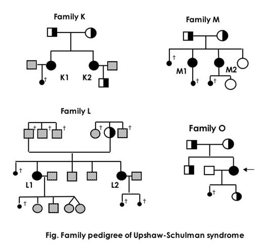 Fig. Family pedigree of Upshaw-Schulman syndrome