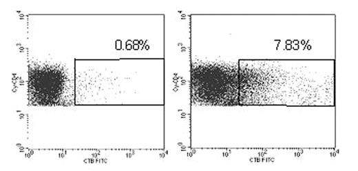 Figure 1. Induction of adenoviral specific T-cells (CD4, CTB double positive cells) in response to Adv-peptides. 1A) Induction of CD4+ Adv-specific in response to medium stimulated PBMCs and 1B) in response to a peptide derived from hexon protein.