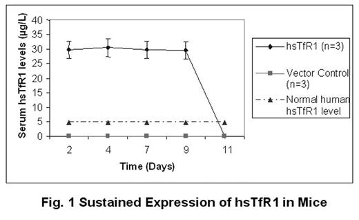 Fig. 1. Sustained Expression of hsTfR1 in Mice