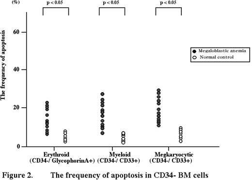 Figure 2. The frequency of apoptosis in CD34− BM cells
