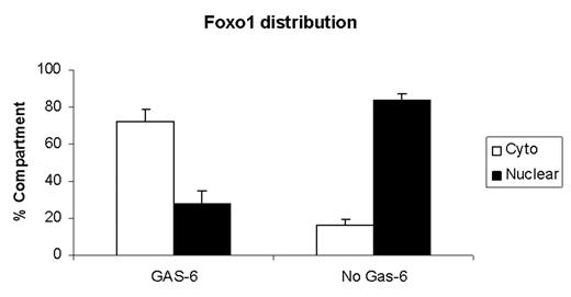 Foxo1 distribution