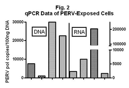 Fig. 2. qPCR Data of PERV-Exposed Cells