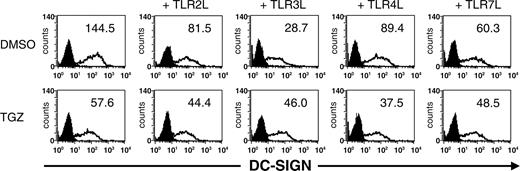 Figure 1. Surface expression of DC-SIGN is decreased upon DC stimulation via TLR. Peripheral blood adhering monocytes were cultured with GM-CSF and IL-4 in the presence or absence of TGZ. Different TLR ligands were added to the cells 24 hours before analysis (TLR2L Pam3Cys, TLR3L Poly(I:C), TLR4L LPS, TLR7L R848). The effect of TGZ on DC phenotype was analyzed by flow cytometry. Open histograms represent staining with the indicated antibody; shaded histograms, the isotype control. The surface expression is indicated as mean fluorescence intensity.