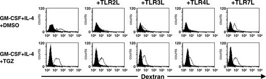 Figure 3. TGZ treatment enhances dextran uptake by DCs stimulated with TLR ligands. Peripheral blood adhering monocytes were cultured with GM-CSF and IL-4 in the presence or absence of TGZ. Different TLR ligands were added to the cells 24 hours before analysis (TLR2L Pam3Cys, TLR3L Poly(I:C), TLR4L LPS, TLR7L R848). One × 105 DCs were incubated with FITC-dextran for 1 hour at 37°C, washed 4 times, and analyzed immediately on a FACSCalibur. As control, cells were precooled to 4°C and incubated with FITC-dextran for 1 hour at 4°C. Open histograms represent FITC-dextran-treated cells incubated at 37°C; shaded histograms, the controls incubated at 4°C.