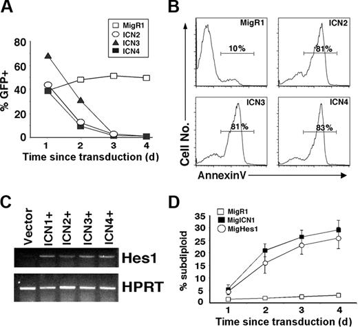 Figure 2. Activated Notch2, Notch3, and Notch4 and the downstream target Hes1 are capable of inducing B-cell death. (A) V9 cells were transduced with the indicated retroviral supernatant, and the percentage of GFP+ cells was determined as described in Figure 1. (B) Transduced GFP+ V9 cells were purified by FACS at 20 hours after transduction. The GFP+ cells were cultured for 24 hours, stained for annexin V, and analyzed by FACS. The histograms of annexin V staining are shown. (C) 70Z cells were transduced with the indicated retrovirus, and NGFR+ cells were purified on a MACS column at 48 hours after transduction. RNA was isolated, and RT-PCR to detect Hes1 transcription was performed. HPRT RT-PCR was performed as an internal control. (D) 70Z cells were transduced with the indicated retrovirus, and GFP+ cells were purified by FACS 24 hours later. The GFP+ cells were harvested, and the percentage of subdiploid (apoptotic) cells was determined by PI staining and FACS analysis. Mean and standard deviation are shown.