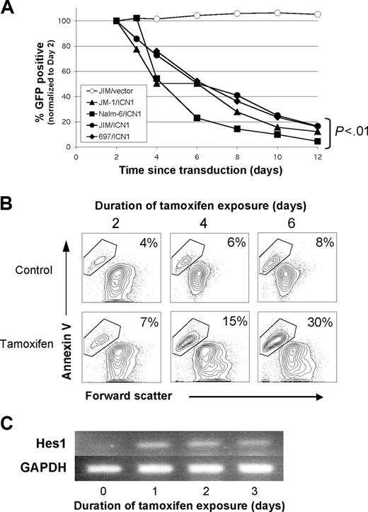 Figure 3. Notch-mediated growth inhibition/apoptosis occurs in human pre-B ALL cell lines. (A) Growth inhibition in 4 pre-B ALL cell lines is seen after retroviral transduction with intracellular Notch1 (ICN1). This graph shows the percentage of GFP+ (ICN1 transduced) cells versus days from transduction (normalized to day 2). All cell lines were also transduced with the control vector MigR1 (representative control shown). The P values were from repeated-measures ANOVA. (B) By using a subclone of the JM-1 pre-B ALL cell line stably transduced with tamoxifen-inducible ER-ICN1 retrovirus, apoptosis is shown by annexin V staining, comparing tamoxifen exposure to ethanol control. (C) Hes1 expression was measured by RT-PCR in the tamoxifen-induced cells from panel B. GAPDH was used as a cDNA control. A representative image from 2 experiments is shown.