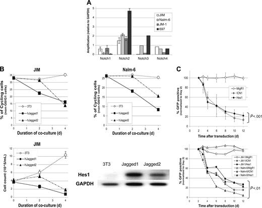 Figure 4. Notch ligands and Hes1 induce Notch-mediated growth arrest/cell death in human B-cell leukemia lines. (A) RNA expression levels of the 4 Notch homologs were measured in 4 pre-B ALL cell lines via RT-PCR. GAPDH was used as a control. The data for Notch1 and Notch2 are in triplicate with standard deviation. Data for Notch3 and Notch4 are averages of duplicate samples. (B) Growth inhibition and cell death in pre-B ALL cell lines during coculture with Notch ligand-expressing fibroblasts (Jagged1 or Jagged2 NIH3T3s) was measured by staining for DNA content (PI) and analysis by flow cytometry. Comparison was made to coculture with untransduced NIH3T3 controls. The top graph represents the percentage of non-G0/G1 cells versus days of coculture for 2 different pre-B ALL cell lines (JIM, Nalm-6) (duplicate experiments gave similar results). Bottom graph represents the cell count versus days of coculture (counted in triplicate). Up-regulation of Hes1 by RT-PCR was measured at 24 hours after initiation of coculture with either Jagged1- or Jagged2-expressing fibroblasts. GAPDH was used as the cDNA control. (C) Hes1 expression leads to growth arrest/cell death that is equivalent to intracellular Notch1. The graph shows the percentage of GFP+ (transduced) cells versus days from transduction (normalized to day 2) for the 697 pre-B ALL cell line. The second graph shows similar data from 2 other cell lines, JM-1 and Nalm-6. The P values are from repeated-measures ANOVA. In panels B and C, means and standard deviation are shown.