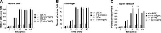 Figure 3. PECAM-1–deficient platelets display normal static platelet adhesion on fibrinogen and bovine VWF matrices. Anticoagulated whole blood from PECAM-1+/+ and PECAM-1–/– mice was labeled with DiOC6 (50 μg/mL) and washed platelets were isolated. Labeled platelets (1 × 109/mL) were then allowed to adhere to bovine serum albumin (BSA)–coated (100 μg/mL) coverslips, collagen-coated (2.5 mg/mL) coverslips, fibrinogen-coated (100 μg/mL) coverslips, or bovine VWF–coated (20 μg/mL) coverslips in the presence of botrocetin (1 μg/mL) for 0 to 60 minutes at 37°C. Adherent platelets were fixed at different time points and visualized using fluorescence microscopy. Quantitation of adherent PECAM-1+/+ and PECAM-1–/– platelets was determined by analysis of images acquired using a × 100 objective. These data represent the mean ± SEM from 3 independent experiments. *P < .05 (n = 3).