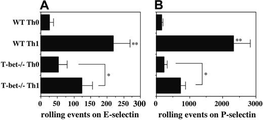 Figure 1. Defective induction of selectin ligands in T-bet-/- Th1 cells. Purified CD4+ T cells were cultured under either Th1 (IL-2 plus IL-12 plus anti–IL-4) or Th0 (IL-2 only) conditions and analyzed on day 8 for rolling on (A) E-selectin and (B) P-selectin. One representative of at least 2 experiments. **Significantly different (P < .05) from all other groups; *significantly different (P < .05).