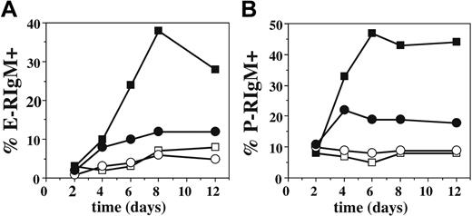 Figure 2. Kinetics of expression of selectin ligands is not altered by the absence of T-bet. Cells from T-cell activation cultures as in Figure 1 were also analyzed over time by FACS with selectin chimeras to determine the fraction which expressed ligands for (A) E-selectin or (B) P-selectin. Filled symbols, Th1; open symbols, Th0; squares, WT; circles, T-bet-/-. One of at least 5 experiments.