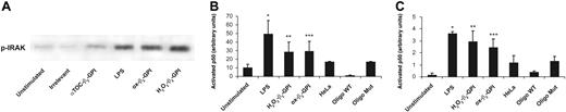 Figure 6. Oxidized β2-GPI induces IRAK phosphorylation and activates NFκB. DCs were stimulated with ox-β2-GPI, H2O2-β2-GPI, αTOC-β2-GPI, or LPS, or left unstimulated for 45 minutes. Cellular extracts were obtained. (A) Phosphorylated levels of IRAK (p-IRAK) were analyzed by Western blotting with antiphosphoserine mAb. Bound antibodies were visualized with HRP-conjugated anti-mouse IgG and immunoreactivity was assessed by ECL. Immunoprecipitates obtained using unstimulated cells, non-IRAK-specific IgG (irrelevant), and αTOC-β2-GPI-stimulated cells yielded only a weak band. The figure shows a representative experiment from 3 with similar results. (B-C) After cell lysing, protein was quantified, and equal amounts of lysates were used to test activated levels of the p50 and p65 subunits with antibodies directed against the subunits bound to the oligonucleotide containing the NFκB consensus binding site. An HeLa cell extract was used as a positive control alone or in the presence of wild-type or mutated consensus oligonucleotide. Results are expressed as mean ± SD from 3 different experiments. Significant differences between unstimulated samples and samples stimulated with LPS, H2O2-β2-GPI, and ox-β2-GPI are indicated with asterisks (p50: *P = .013, **P = .065, and ***P = .05; p65: *P < .001, **P = .006, and ***P = .007).