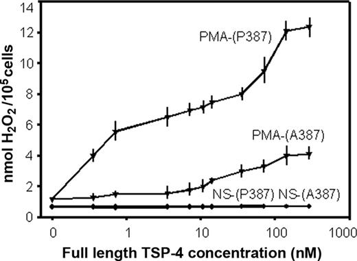 Figure 4. P387 TSP-4 enhances release of hydrogen peroxide from PMNs. PMNs were untreated or stimulated with 1 nM PMA for 20 minutes at 37°C and allowed to adhere to TSP-4–coated plates for 4 hours at 37°C. Hydrogen peroxide levels were measured in conditioned media using an Amplex Red Assay Kit. The data are means ± SEMs with neutrophils from 4 blood donors with quadruplet measurements made in each assay.