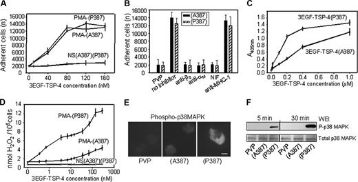 Figure 7. Integrin αMβ2 interacts with a TSP-4 fragment composed of 3 type 2 (EGF-like) domains. (A) The 96-well plates were coated with the TSP-4 variant fragments or control GST (0-160 nM) for 16 hours at 4 °C, and resting or PMA-stimulated PMNs were allowed to adhere for 30 minutes at 37°C. (B) PMA-stimulated PMNs were pretreated with function-blocking mAbs to αMβ2, control mAb to MHC-1 (20 μg/mL), or NIF (10 nM) for 20 minutes at RT, and adhesion was assessed as described in “Materials and methods.” The data are means ± SEMs of quadruplets from 2 blood donors, and background adhesion to GST has been subtracted. (C) The 96-well plates were coated with recombinant-purified αMI-domain (50 μg/mL) for 20 hours at 4 °C and coated afterward with 3% BSA. 3EGF–TSP-4–GST fusion proteins (0-1.5 μM) were added and incubated for 4 hours at 37°C. After washings, the bound proteins were detected with anti-GST mAb by ELISA as described in “Materials and methods.” The results are means ± SEMs (n = 4). (D) Resting or PMA-stimulated (1 nM) PMNs were allowed to adhere to 3EGF–TSP-4–coated plates or control GST for 4 hours at 37°C. Hydrogen peroxide levels were measured as described in Figure 4. The data are means ± SEMs of quadruplet measurements from 3 blood donors. (Panels E and F) PMA-stimulated PMNs (1 nM) were allowed to adhere to the 3EGF–TSP-4 variants (80 nM) and control PVP for up to 30 minutes at 37°C. (E) Cells adherent for 30 minutes were stained with Ab to phosphorylated p38 MAPK and FITC-conjugated secondary Ab. Bar size, 10 μM. (F) Alternatively, equal amounts of total protein in lysates of adherent cells were analyzed by Western blot with Abs to phosphor-p38 MAPK and to p38 MAPK. Images were captured with a 40 ×/0.7 NA objective lens. Results are representative of experiments performed on PMNs isolated from 2 blood donors.