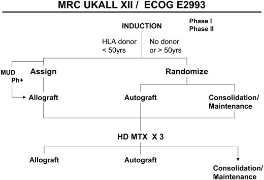 Figure 1. A simplified overall schema of the study. MUD indicates matched unrelated donor transplantation; HD MTX, high-dose methotrexate.