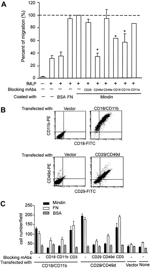 Figure 5. Mindin interacts with integrins. (A) Inhibition of mindin-mediated neutrophil migration by anti-integrin antibodies. BM neutrophils from mindin-/- mice were incubated with indicated anti-integrin mAbs and tested in mindin-mediated migration as in Figure 4D. Shown are the percent of migration in the presence of antibodies with mindin-mediated neutrophil migration without any blocking antibody as 100%. *P < .001. Error bars indicate mean ± SD. (B) Expression of integrins on HEK-293 cells. HEK-293 cells were transiently transfected with plasmids encoding integrins αM plus β2, α4 plus β1, or vector alone. Forty-eight hours later, integrin expression was examined by FACS. (C) Cell adhesion to mindin matrix. HEK-293 cells expressing integrins as indicated were tested for their binding to coated proteins with or without blocking antibodies. Shown are the numbers of adherent cells in each field (mean ± SD). Data are representative of 2 to 3 experiments.