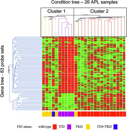 Figure 2. Hierarchical clustering of genes according to FLT3 status in 26 APL samples. The 83 probe sets shown were identified by SAM analysis and represent 78 different genes.