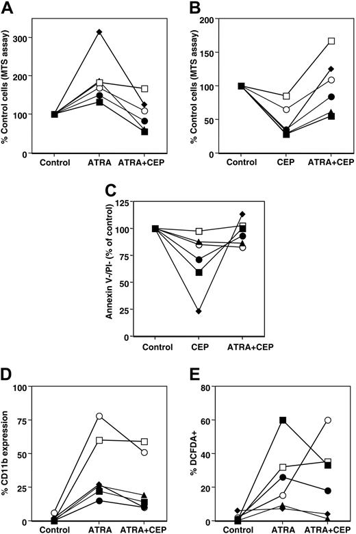 Figure 4. Response to ATRA and CEP-701 in blasts from 6 APL patients. Cells were cultured and assays performed as outlined in Figure 3. Two patients had WT FLT3 (□, ○), and 4 had ITD+ (▪, •, ▴, ♦). Total mutant level was 41% to 48%. One patient (▴) had 3 mutants.