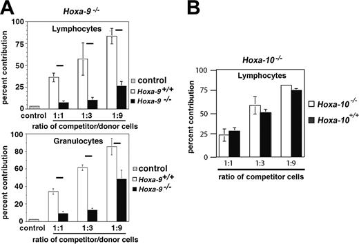 Figure 2. Hoxa-9-/- marrow cells have decreased competitive repopulating ability in vivo. Cohorts of lethally irradiated mice were injected with a fixed dose of normal competitor marrow (500 000 cells) and 1 of 3 doses of test cells (either Hoxa-9-/- vs sibling wild type or Hoxa-10-/- vs sibling wild type): 500 000 cells (1:1 ratio), 1 500 000 cells (3:1), or 4 500 000 cells (9:1). After 12 to 20 weeks, the percentage of test marrow contribution was determined by the percentage of CD45.2 cells as measured by FACS analysis of peripheral-blood lymphocytes and granulocytes. The fractional contribution of Hoxa-9-/- cells was markedly below the predicted value (horizontal black bars) at all three cell ratios tested—50%, 75%, and 90% (A), whereas the contribution of Hoxa-10-/- cells closely approximated the values for Hoxa-10+/+ cells, which were all close to the predicted values (B).