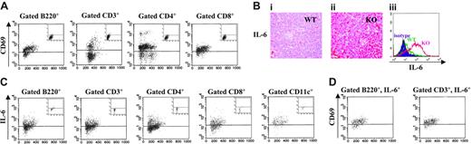 Figure 2. IL-6 overexpression and immune activation in the spleen of Il12rb2 KO mice older than 12 months. (A) Expression of the CD69 activation marker on splenocytes from an 18-month-old Il12rb2 KO mouse and an age-matched WT mouse (insets). Cells were stained with CD69 mAb in combination with anti-B220, CD3, CD4, or CD8 mAb and gated on the latter markers. Dot-plots are shown. (Bi-ii) Immunohistochemical staining of spleen tissue sections from an 18-month-old WT mouse (Bi) and an age-matched Il12rb2 KO mouse (Bii) with anti–IL-6 mAb (magnification, × 400). (Biii) Flow cytometric analysis of intracellular IL-6 in splenocytes from an 18-month-old Il12rb2 KO mouse (KO, right profile) and an age-matched WT mouse (WT, middle profile). Isotypic control staining (isotype), shown in the left profile, was superimposable for both animals. Cells were cultured without stimuli for 16 hours in the presence of brefeldin A to allow intracellular accumulation of synthesized IL-6, permeabilized, and analyzed. (C) Intracellular expression of IL-6 was investigated by flow cytometry following double staining of splenocytes from an 18-month-old Il12rb2 KO mouse and an age-matched WT mouse (insets) with anti-B220, CD3, CD4, CD8, or CD11c, and anti–IL-6 mAbs. Cells were cultured as indicated in panel B, permeabilized, and analyzed setting the gate on B220+, CD3+, CD4+, CD8+, or CD11c+ splenocytes. Dot-plots are shown. (D) Tricolor staining of splenocytes from an 18-month-old Il12rb2 KO mouse with B220 or CD3 mAbs in combination with CD69 and anti–IL-6 mAbs. Gate was set on B220+, IL-6+ or CD3+, IL-6+ cells. Dot-plots are shown.