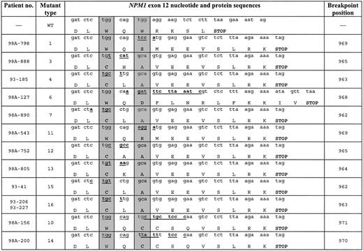 Figure 1. Novel NPM1 sequence variations in AML patients with normal cytogenetics. Wild-type (WT) sequence and breakpoint positions correspond to GenBank accession number NM_002520. Novel mutation types were named provisionally by numbers. Nucleotide insertions are underlined and boldfaced. The predicted protein is shown for each mutation type; gray columns indicate the positions of the 2 C-terminal tryptophan residues. — indicates information not applicable.