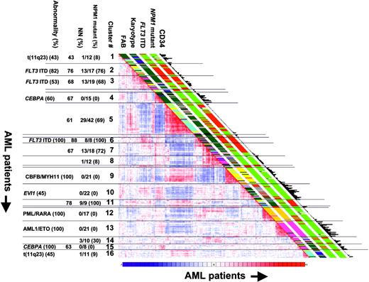 Figure 1. OmniViz correlation view of 285 AML patients. The correlation view displays pairwise correlations between AML patients. The cells in the visualization are colored by Pearson correlation coefficient values, with deeper colors indicating higher positive (red) or negative (blue) correlations. The scale bar indicates maximum positive correlation (red) toward maximum negative correlation (blue). The 16 clusters identified in the cohort of 285 AML patients using 2856 probe sets on the basis of the correlation view are indicated (1 to 16).21 Clinical and molecular data are depicted in the columns along the original diagonal of the correlation view.21 FAB classification and karyotype based on cytogenetics are depicted in the first 2 columns (FAB M0, red; M1, green; M2, purple; M3, orange; M4, yellow; M5, blue; M6 gray; and karyotype: normal, green; inv(16), yellow; t(8;21), purple; t(15;17), orange; 11q23 abnormalities, blue; 7(q) abnormalities, red; +8, pink; complex, black; other, gray). FLT3 ITD and NPM1 mutations are depicted in the same set of columns (red bar, positive; green bar, negative). The expression levels of CD34 (probe set: 209543_s_at) in the 285 AML patients are plotted in the last column (bars are proportional to the level of expression). The percentages of the most common (more than 40%) abnormalities, NPM1 mutations, as well as normal karyotypes (NN) for each cluster are indicated.