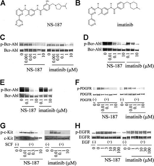 Figure 1. Structure and activity of NS-187. Chemical structures of NS-187 (A) and imatinib (B). K562 cells (C), BaF3/wt cells (D), and BaF3/E255K cells (E) were incubated for 1.5 hours with the indicated concentrations of each compound. Serum-starved NHDF cells (F), NCI-H526 cells (G), and A431 cells (H) were incubated for 1.5 hours with each compound prior to stimulation for 10 minutes with PDGF, SCF, or EGF, respectively. Cells were then lysed and subjected to Western blot analysis with antiphosphotyrosine antibody (C-H), anti–c-Abl antibody (C-E), anti-PDGFR antibody (F), anti–c-Kit antibody (G), or anti-EGFR antibody (H). p indicates phosphorylated.