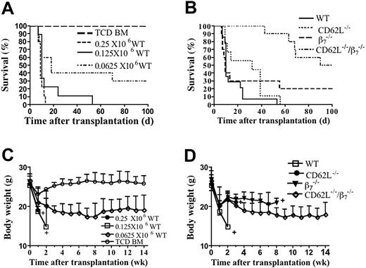 Figure 1. Induction of GVHD by purified CD4+ T cells from WT and gene-deficient C57BL/6 donors. Lethally irradiated BALB/c host mice were given intravenous injections of 2 × 106 TCD bone marrow cells from WT C57BL/6 donors with or without CD4+ T cells from WT, CD62L-/-, β7-/-, or CD62L-/-/β7-/- donors. There were 10 hosts in each group. (A) Survival of irradiated hosts given TCD bone marrow cells alone or with 0.25 × 106, 0.125 × 106, or 0.0625 × 106 WT CD4+ T cells. (B) Survival of irradiated hosts given TCD bone marrow cells and 0.125 × 106 CD4+ T cells from WT or gene-deficient donors. (C) Mean body weights of host mice given TCD bone marrow and CD4+ T cells as in panel A. Brackets show standard errors of the mean. Analysis was stopped for a given group when there were 2 hosts remaining (+). (D) Mean body weights of host mice given cells as in panel B.