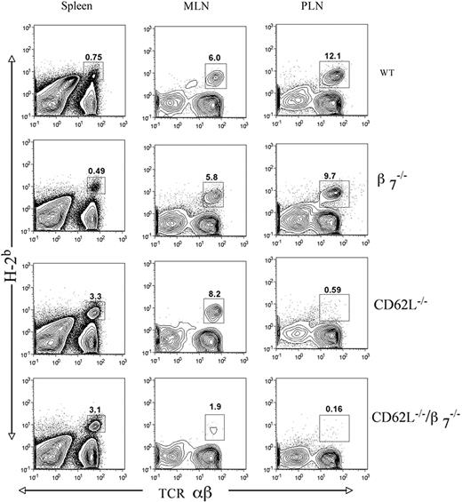 Figure 3. Percentage of donor T cells in the spleen, mesenteric lymph nodes (MLNs), and peripheral lymph nodes (PLNs) of hosts given 2 × 106 TCD bone marrow and 2.5 × 106 CD4+ T cells from WT and gene-deficient donors. Staining was performed on tissues harvested 2 days after donor cell injection, and panels show H-2b versus TCRαβ. Boxes enclose donor T cells (H-2Kb+ TCRαβ+) and percentages enclosed are shown. Representative patterns are from 1 of 3 experiments.